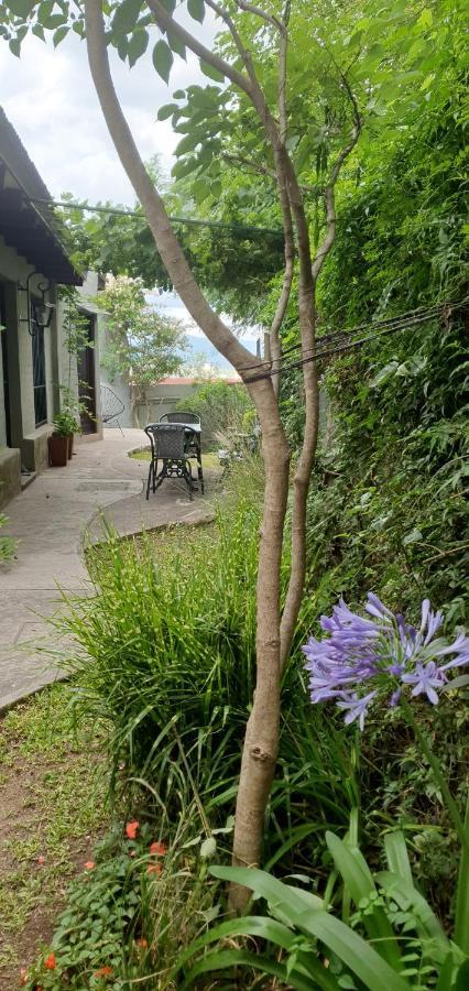 Los Tarcos Guest House San Salvador de Jujuy Buitenkant foto