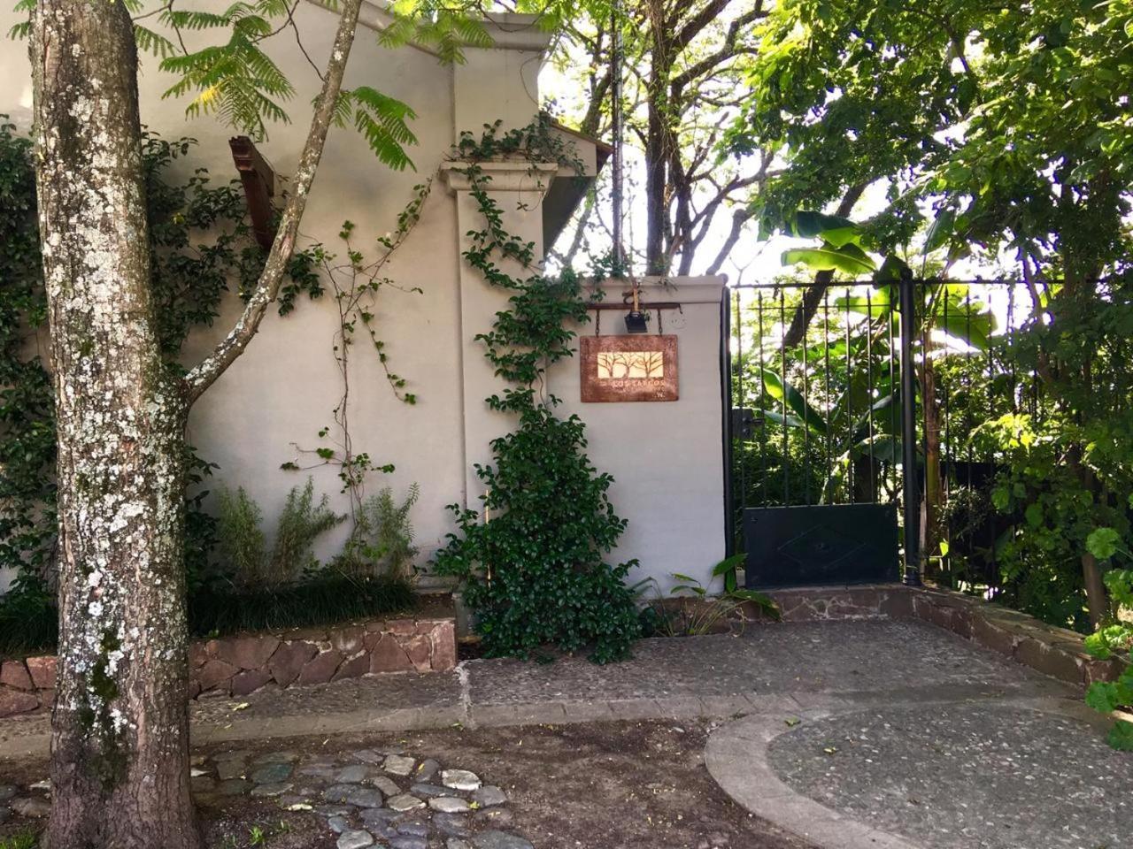 Los Tarcos Guest House San Salvador de Jujuy Buitenkant foto